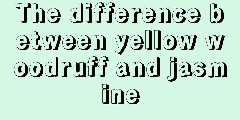 The difference between yellow woodruff and jasmine