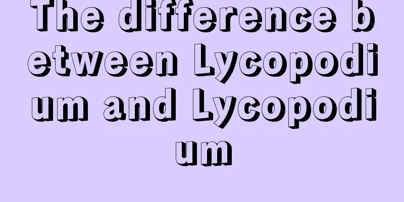 The difference between Lycopodium and Lycopodium