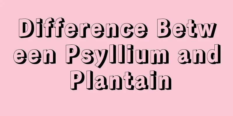 Difference Between Psyllium and Plantain