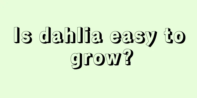 Is dahlia easy to grow?