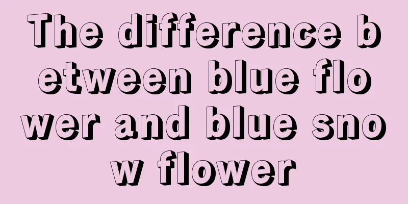 The difference between blue flower and blue snow flower