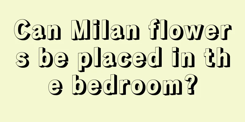 Can Milan flowers be placed in the bedroom?