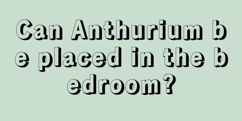 Can Anthurium be placed in the bedroom?