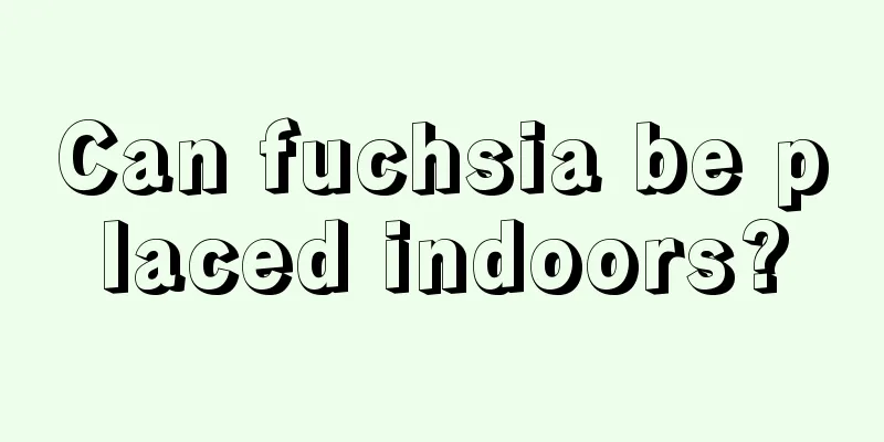 Can fuchsia be placed indoors?