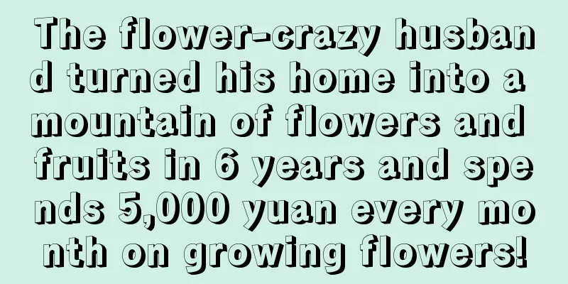 The flower-crazy husband turned his home into a mountain of flowers and fruits in 6 years and spends 5,000 yuan every month on growing flowers!