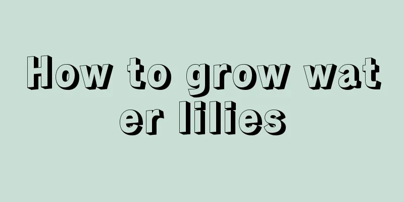 How to grow water lilies