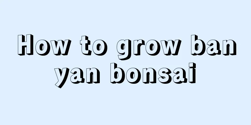 How to grow banyan bonsai