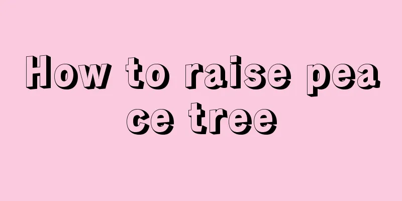 How to raise peace tree