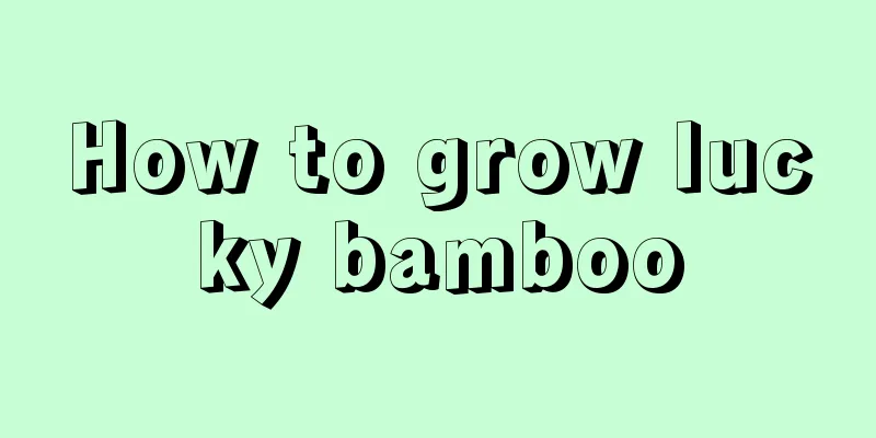 How to grow lucky bamboo