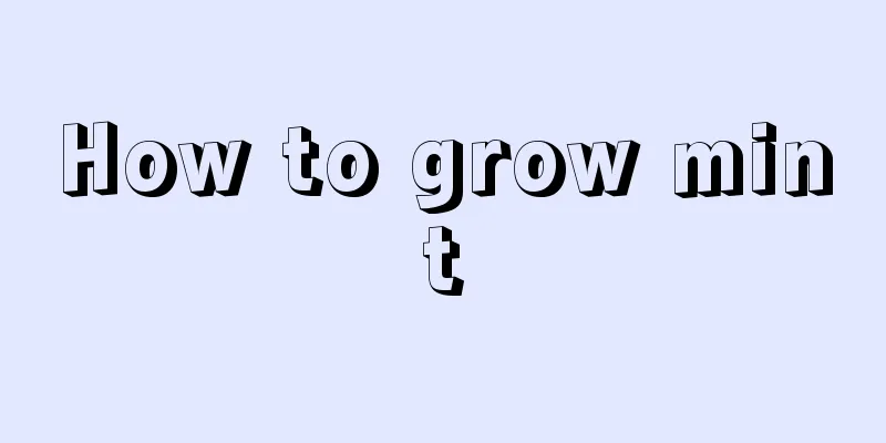 How to grow mint