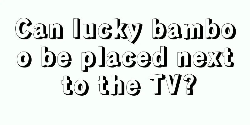 Can lucky bamboo be placed next to the TV?