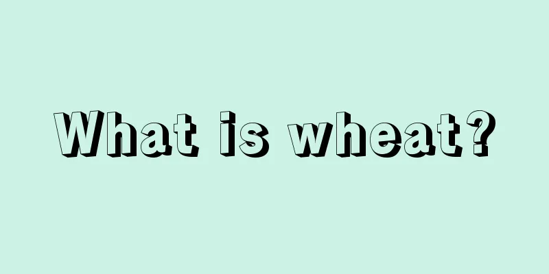 What is wheat?