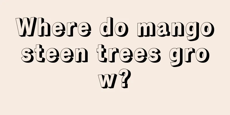 Where do mangosteen trees grow?