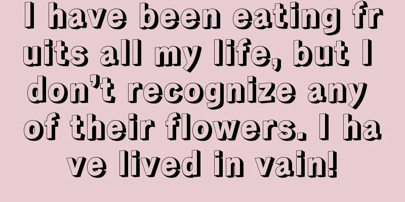 I have been eating fruits all my life, but I don’t recognize any of their flowers. I have lived in vain!