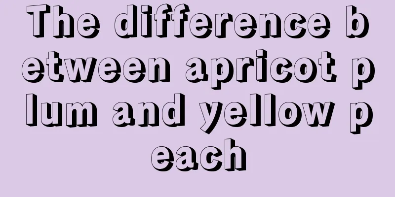 The difference between apricot plum and yellow peach