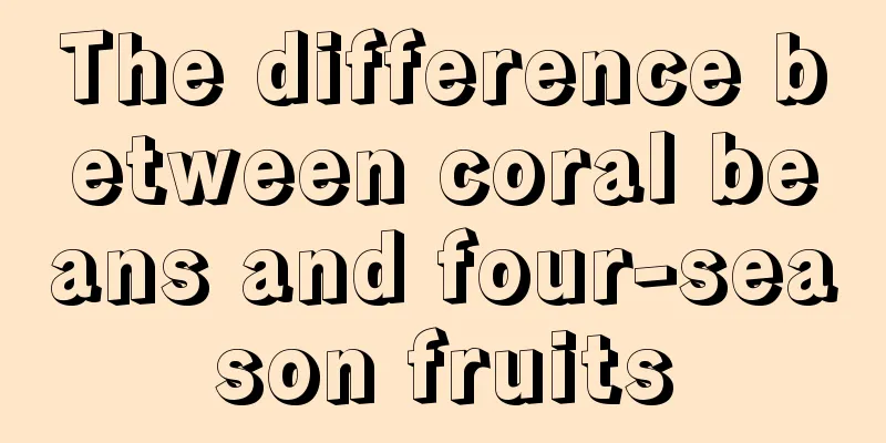 The difference between coral beans and four-season fruits