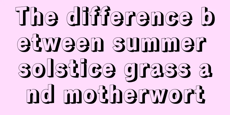 The difference between summer solstice grass and motherwort