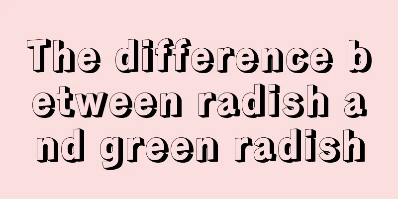 The difference between radish and green radish