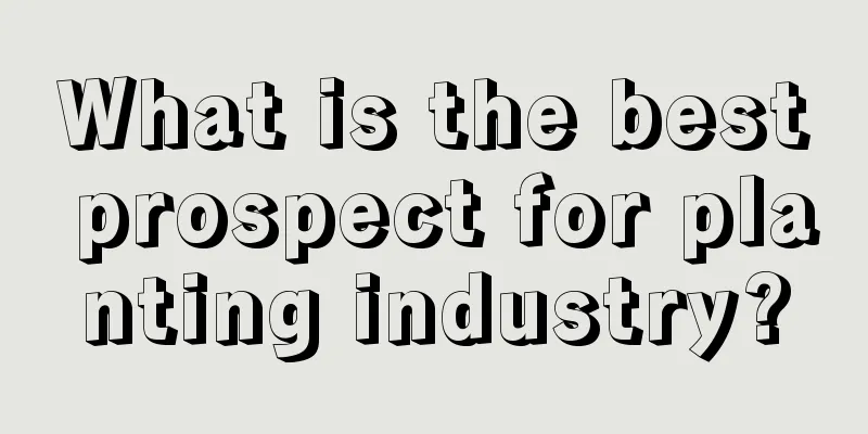 What is the best prospect for planting industry?