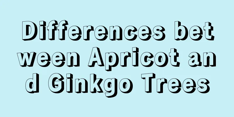 Differences between Apricot and Ginkgo Trees