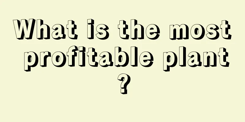 What is the most profitable plant?