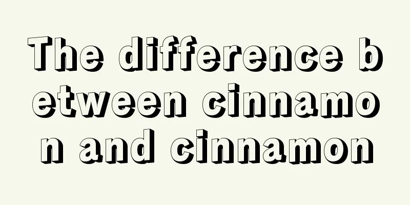 The difference between cinnamon and cinnamon