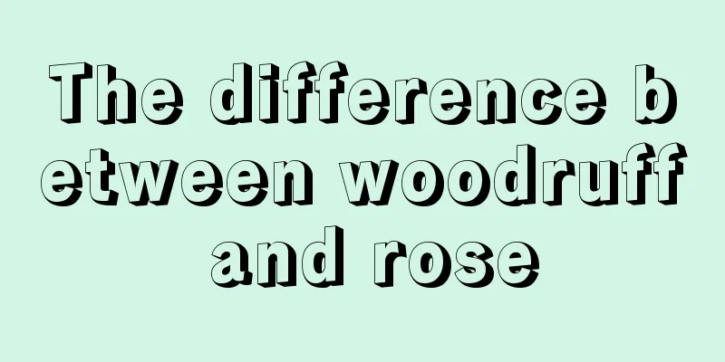 The difference between woodruff and rose