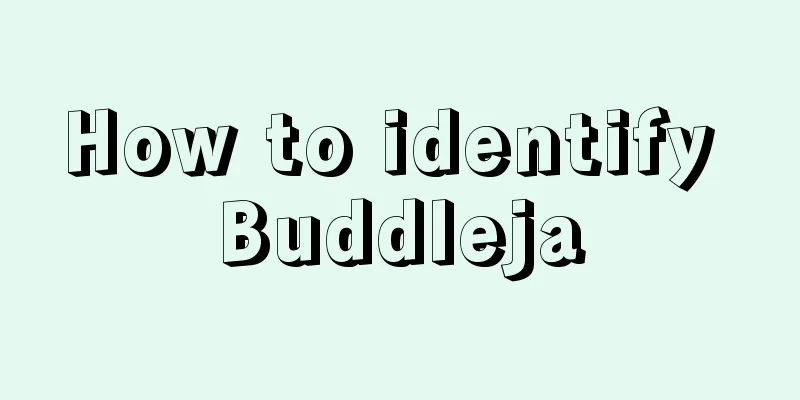 How to identify Buddleja