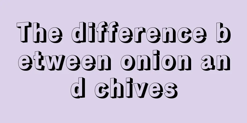 The difference between onion and chives