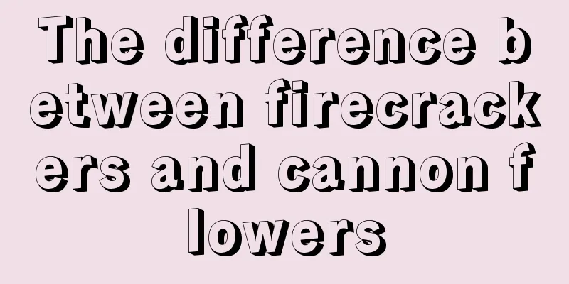 The difference between firecrackers and cannon flowers