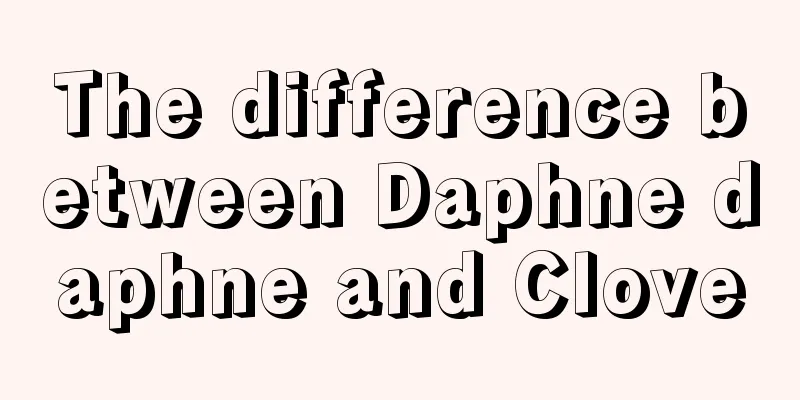 The difference between Daphne daphne and Clove