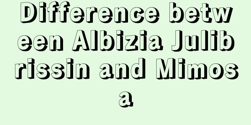 Difference between Albizia Julibrissin and Mimosa