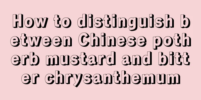 How to distinguish between Chinese potherb mustard and bitter chrysanthemum