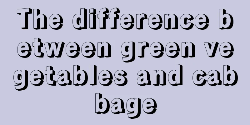 The difference between green vegetables and cabbage