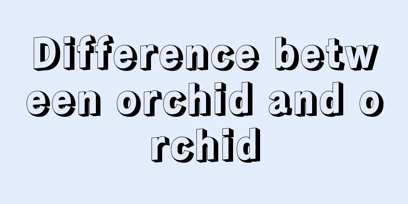 Difference between orchid and orchid