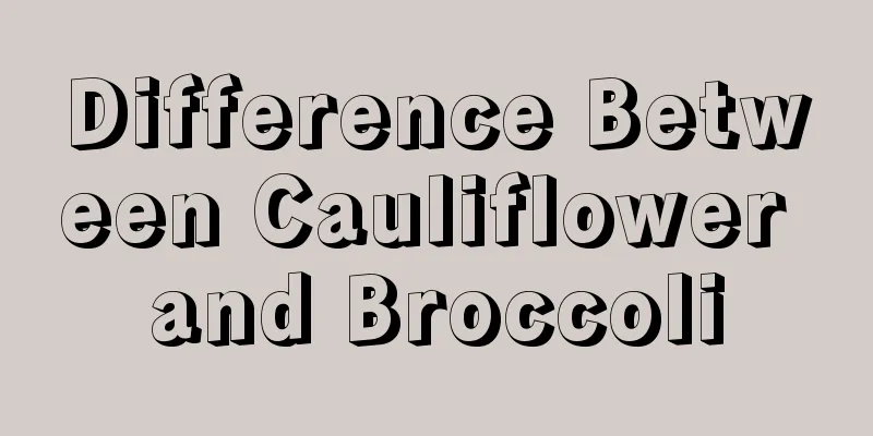 Difference Between Cauliflower and Broccoli