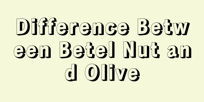 Difference Between Betel Nut and Olive