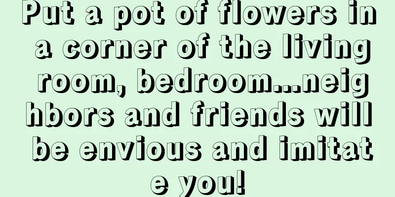 Put a pot of flowers in a corner of the living room, bedroom...neighbors and friends will be envious and imitate you!