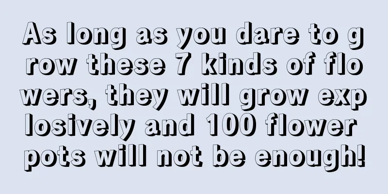 As long as you dare to grow these 7 kinds of flowers, they will grow explosively and 100 flower pots will not be enough!