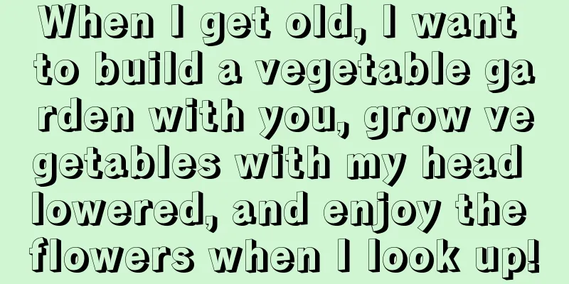 When I get old, I want to build a vegetable garden with you, grow vegetables with my head lowered, and enjoy the flowers when I look up!