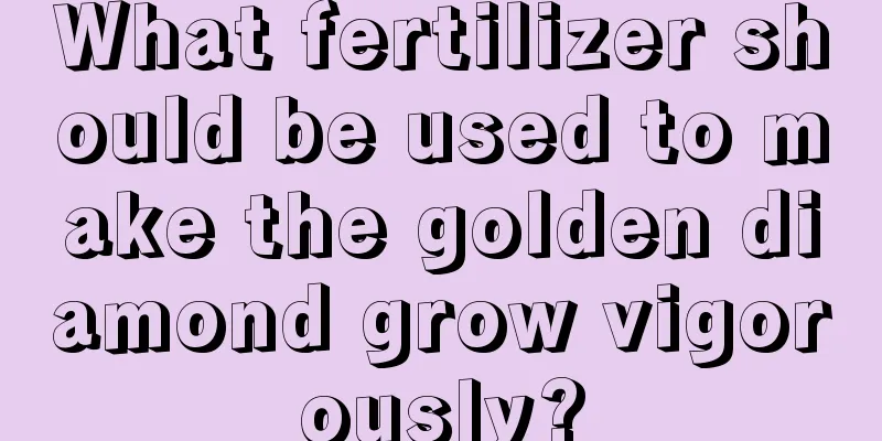 What fertilizer should be used to make the golden diamond grow vigorously?