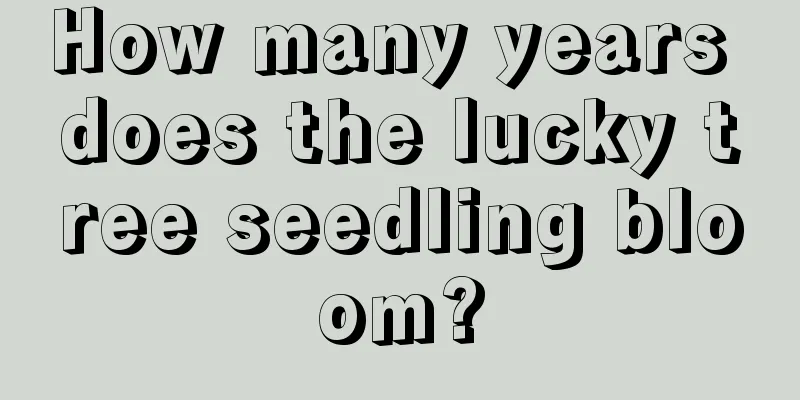 How many years does the lucky tree seedling bloom?