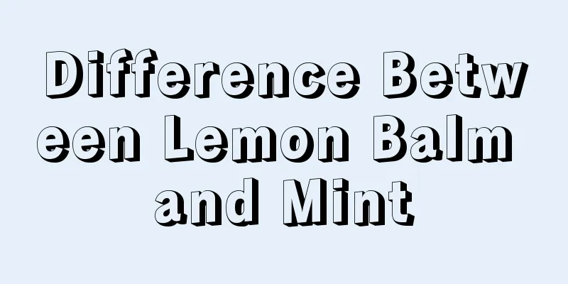 Difference Between Lemon Balm and Mint