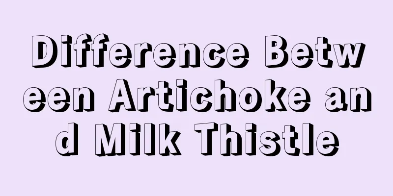 Difference Between Artichoke and Milk Thistle