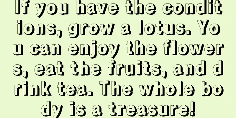 If you have the conditions, grow a lotus. You can enjoy the flowers, eat the fruits, and drink tea. The whole body is a treasure!