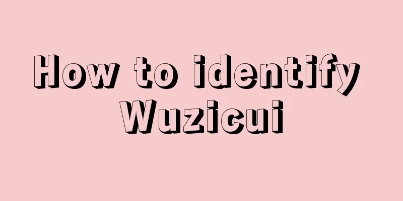 How to identify Wuzicui