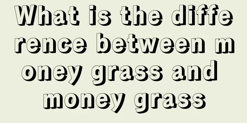 What is the difference between money grass and money grass