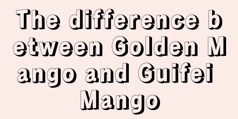 The difference between Golden Mango and Guifei Mango