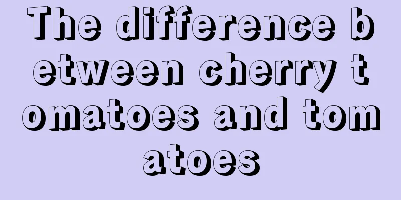 The difference between cherry tomatoes and tomatoes