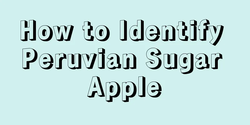 How to Identify Peruvian Sugar Apple